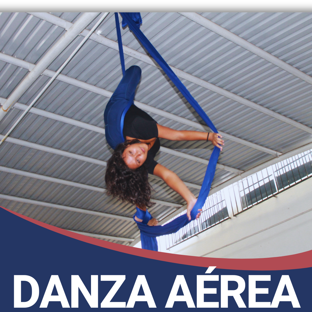 Danza aérea