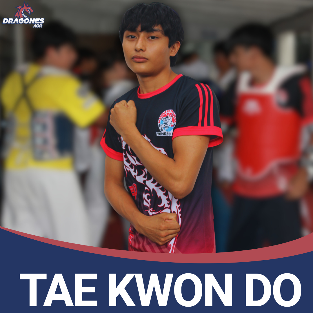Taekwondo