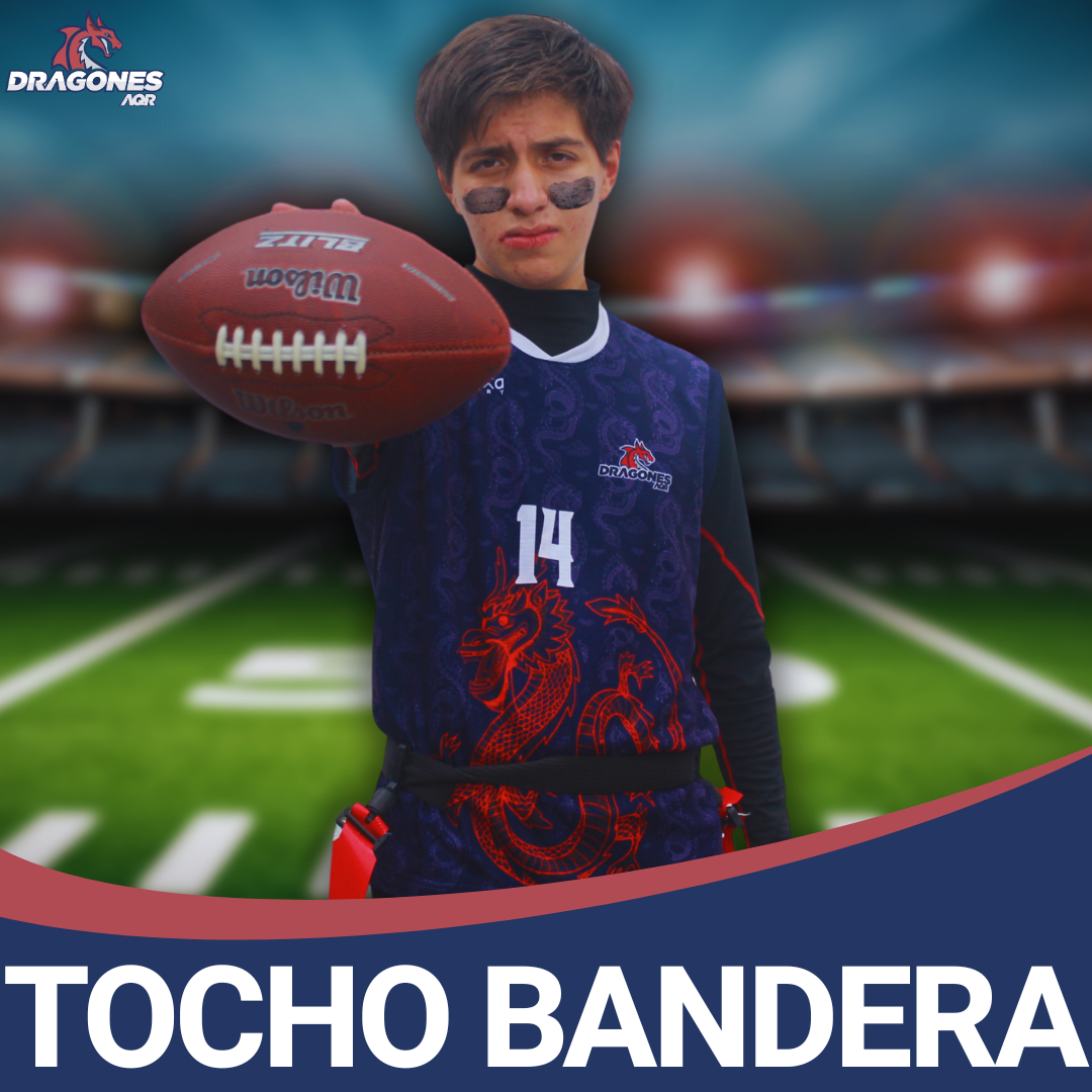 Tocho bandera